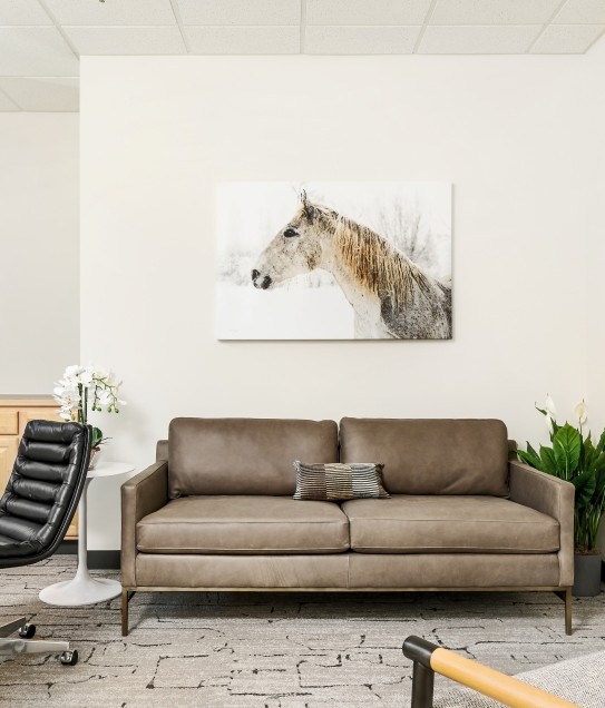 APN Boulder Office with Couch and Horse Photo